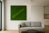 Benefits of Moss Art