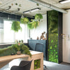 Bringing Nature Indoors – The Power of Biophilic Design