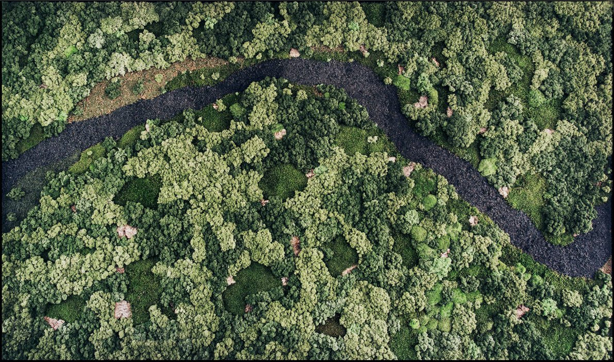 Moss art that was inspired by river and surrounding forest