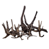 WIO Black Tree Trunk Size < 10 cm XS