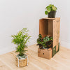 Creative Nature Monthly Subscription Box