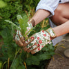 Kent & Stowe Comfort Gloves Cottage Garden Medium
