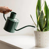 Kent & Stowe Indoor Metal Watering Can 1ltr Sage Green