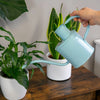 Kent & Stowe Indoor Metal Watering Can 1ltr Blue Sky