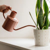 Kent & Stowe Indoor Metal Watering Can 1ltr Blush Pink