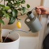 Kent & Stowe Indoor Metal Watering Can 1ltr Warm Grey
