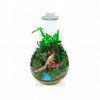 Chihiros Terrarium Kit Including Light