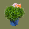 Sagina Mini Fish 5.5cm