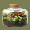 Flat Jar Terrarium Lg 23x20cm