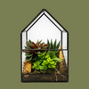 Glasshouse Terrarium Med 12x21cm