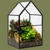 Glasshouse Terrarium Med 12x21cm