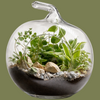 Glass Apple shaped Terrarium 20x24cm