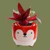Farm Animal pot with Plant Mixed  8cm