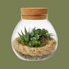 Glass Bowl Terrarium with LED 15x16cm