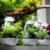 Chihiros Tiny Terarium Egg (10 watt)