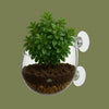 Chihiros Plant Pot