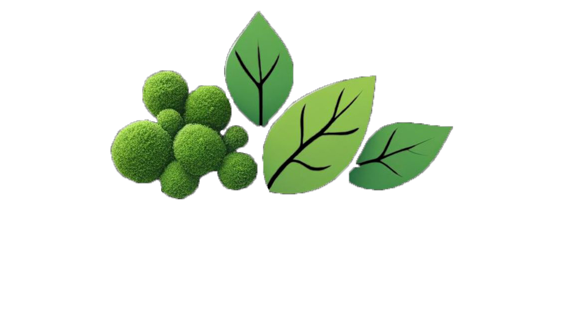 Creative Nature