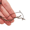 Mini Root Size 10-30 cm 80 g
