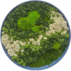 Moss Art L Circle Ref 104