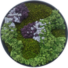 Moss Art L Circle Ref 106