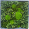 Moss Art M Square Ref 451