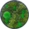 Moss Art XL Circle Ref 151