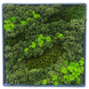 Moss Art S Square Ref 401