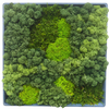 Moss Art S Square Ref 402