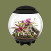 Oase biOrb AIR 30 Black