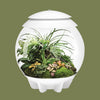 Oase biOrb AIR 30 White