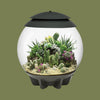 Oase biOrb AIR 30 Grey