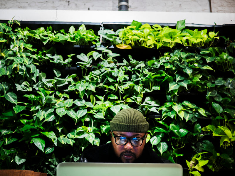 Internet Cafe, Antwerp