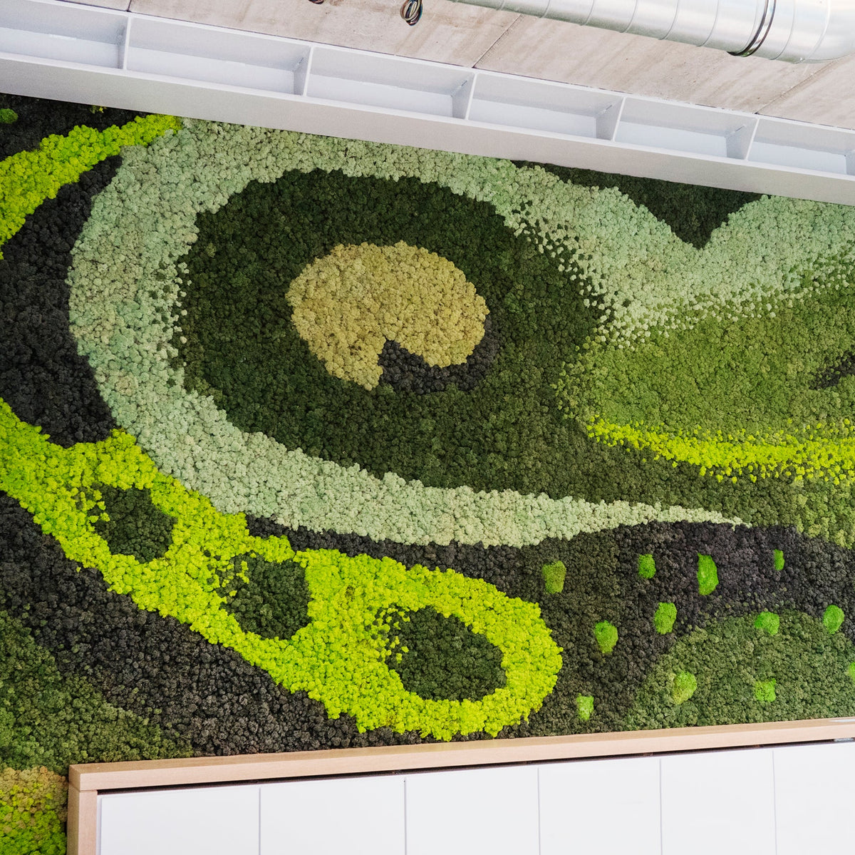 2. Past projects – Creative Nature