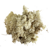 Reindeer Moss Natural Colour (small box)