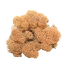 Reindeer Moss Peach (small box)