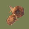 Golden Mushrooms Sml 20 pack