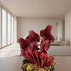 Sarracenia Rosea 8 cm