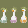 Tillandsia silly goose pot 10x15cm
