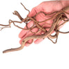 WIO Twisted Root, Size 10-40cm Mix-80g
