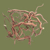 WIO Twisted Root, Size 10-40cm Mix-80g