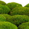 Ball Moss Light Green 500g