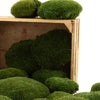 Ball Moss Nature Green 500g