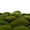 Ball Moss Nature Green 500g