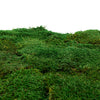 Flat Moss Green Bulk Box