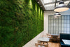 Flat Moss Green Bulk Box