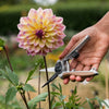 Kent & Stowe Garden Life Snips