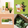 Creative Nature Monthly Subscription Box