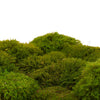 Mood Moss Light Green 500g