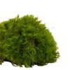 Mood Moss Light Green 500g