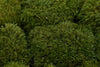 Mood Moss Nature Green 500g